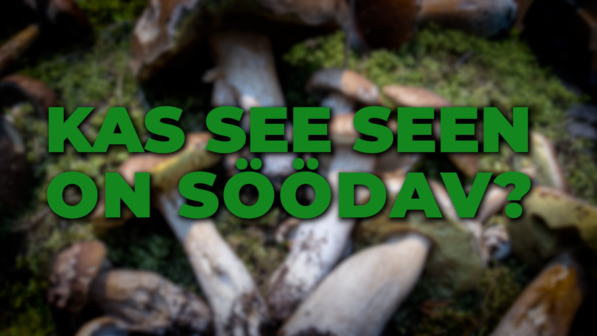 SPIKKER | Tähelepanu, kodukokk! Nende nippide abil saad metsas mürgiseeni vältida