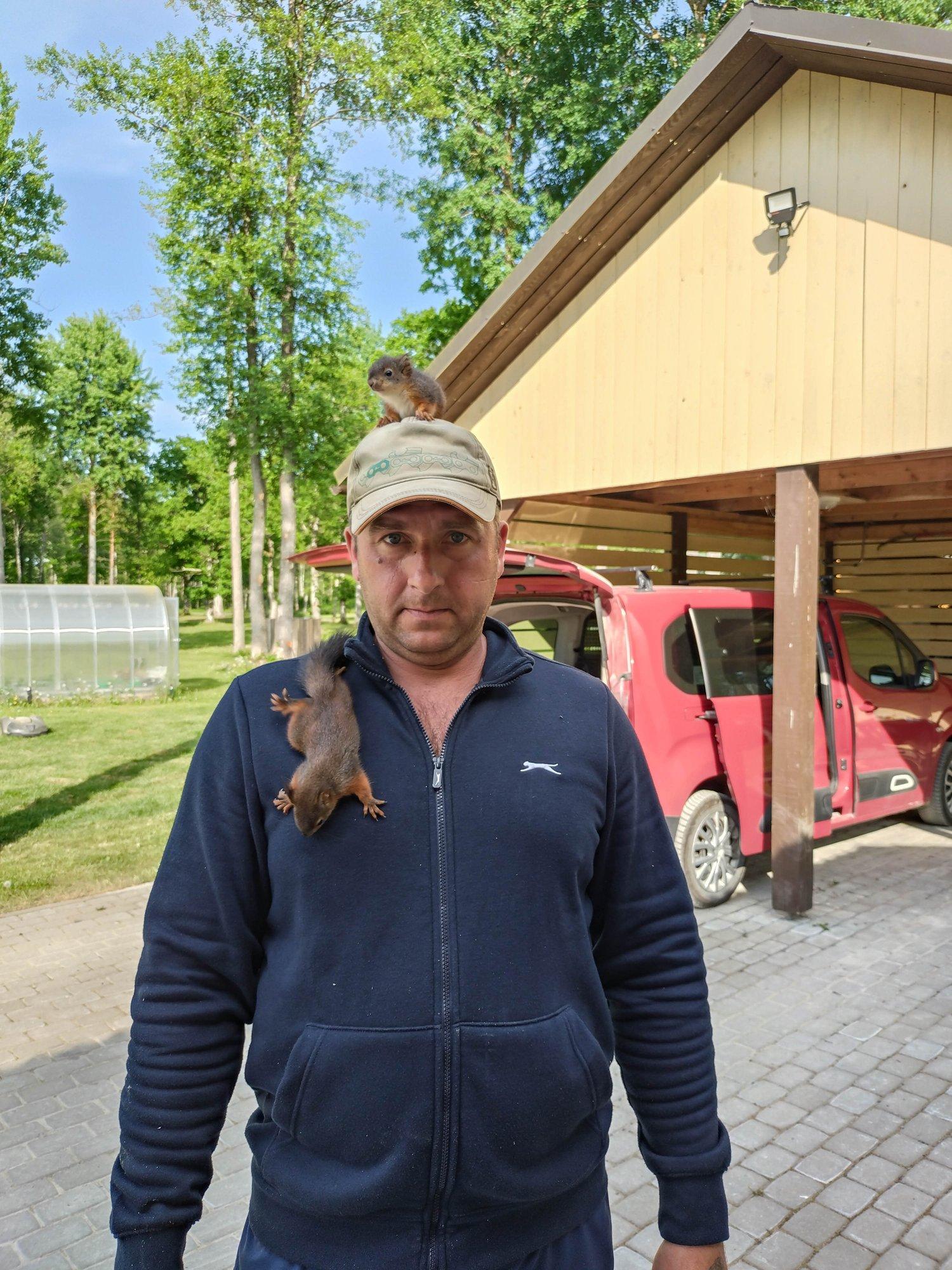 „Täiesti vaklu ja kirpe täis.“ Orvuks jäänud oravapojad leiavad pelgupaiga Saaremaal