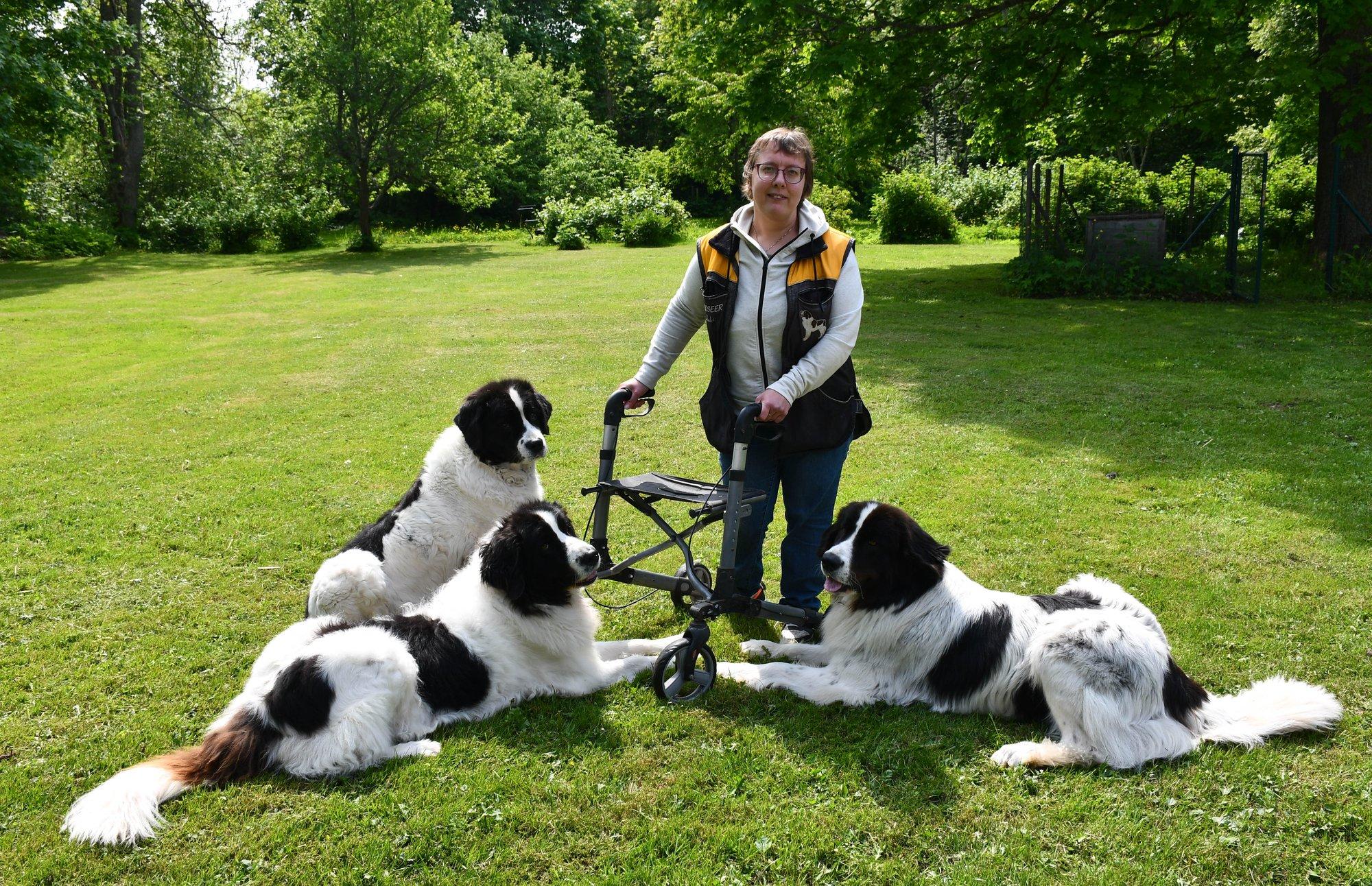 Rulaatoriga võistlusareenile? Jah! Enneaegsena sündinud naine harrastab liikumispuude kiuste koerasporti