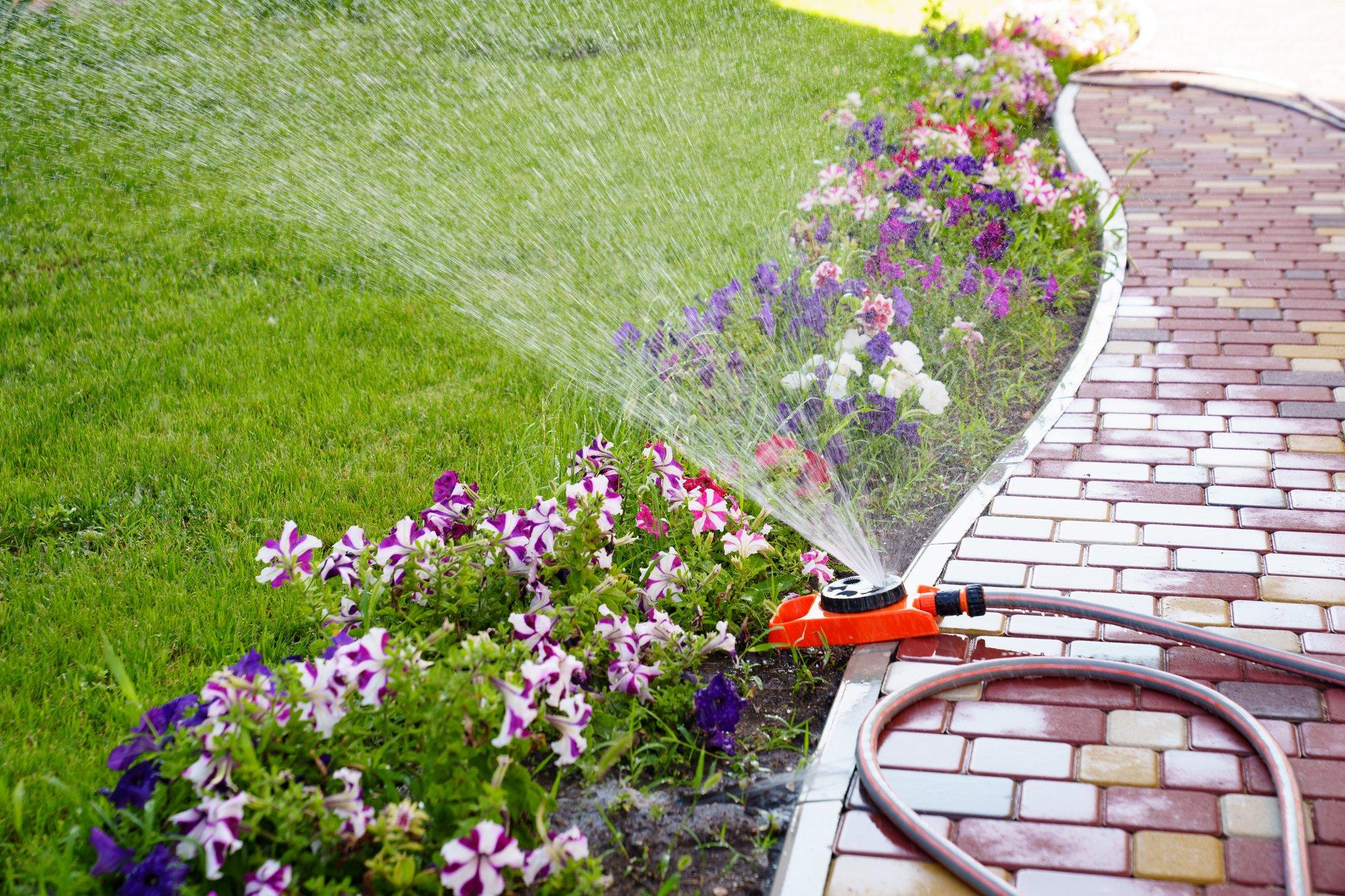 TASUB TEADA | Miks tuleks taimi ka pärast vihmasadu kasta?