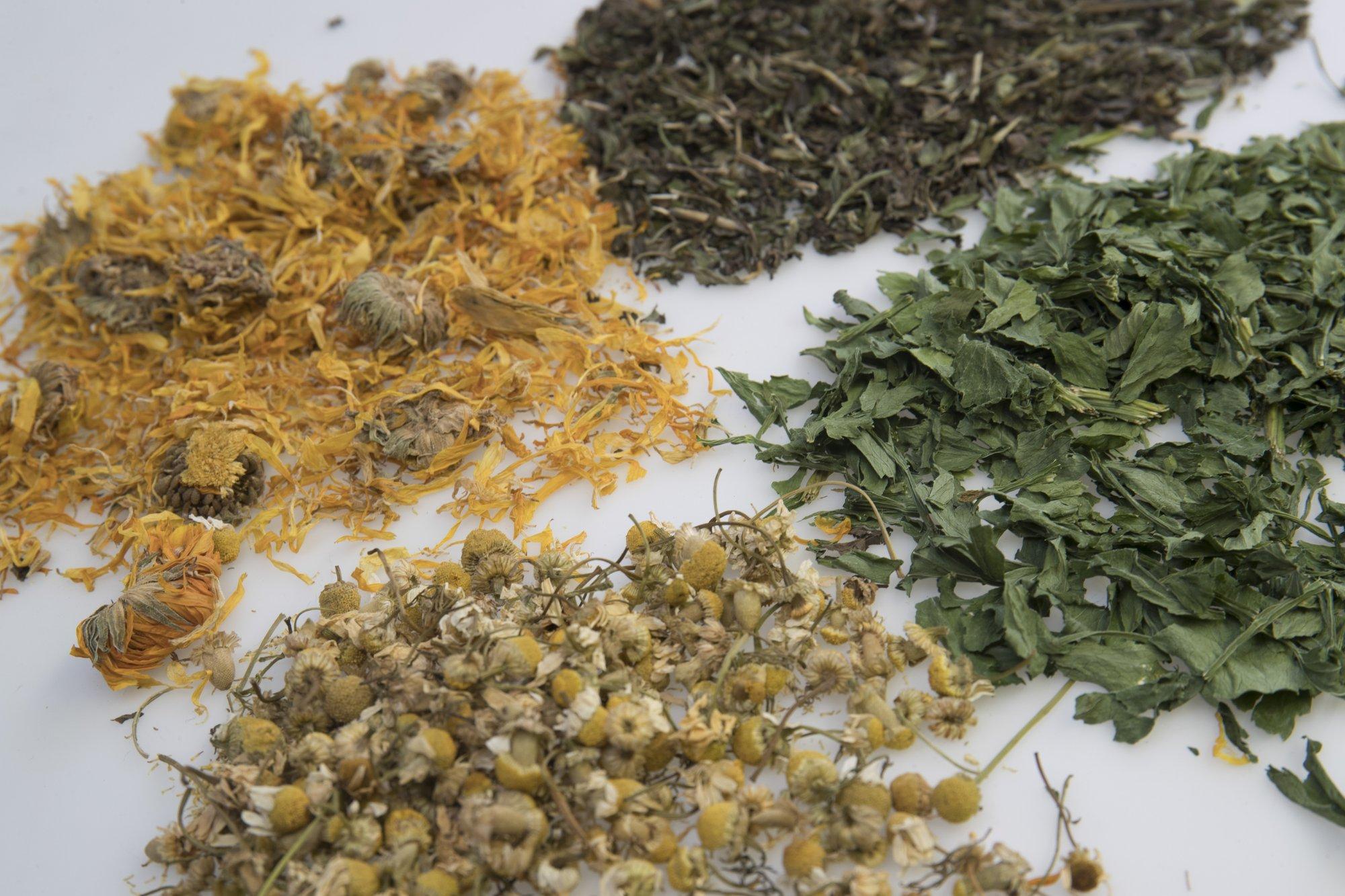 Need 10 levinud ravimtaime on paras talveks tallele panna