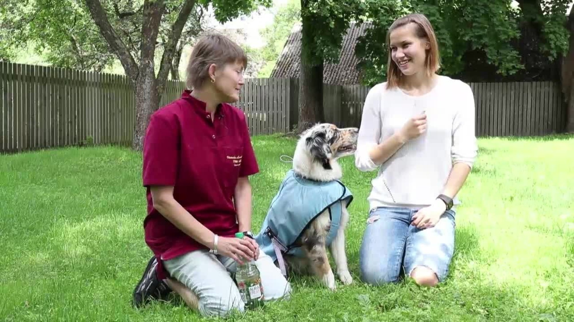 VIDEO | Loomaarst õpetab, kuidas kuumarabanduse korral oma koera elu päästa