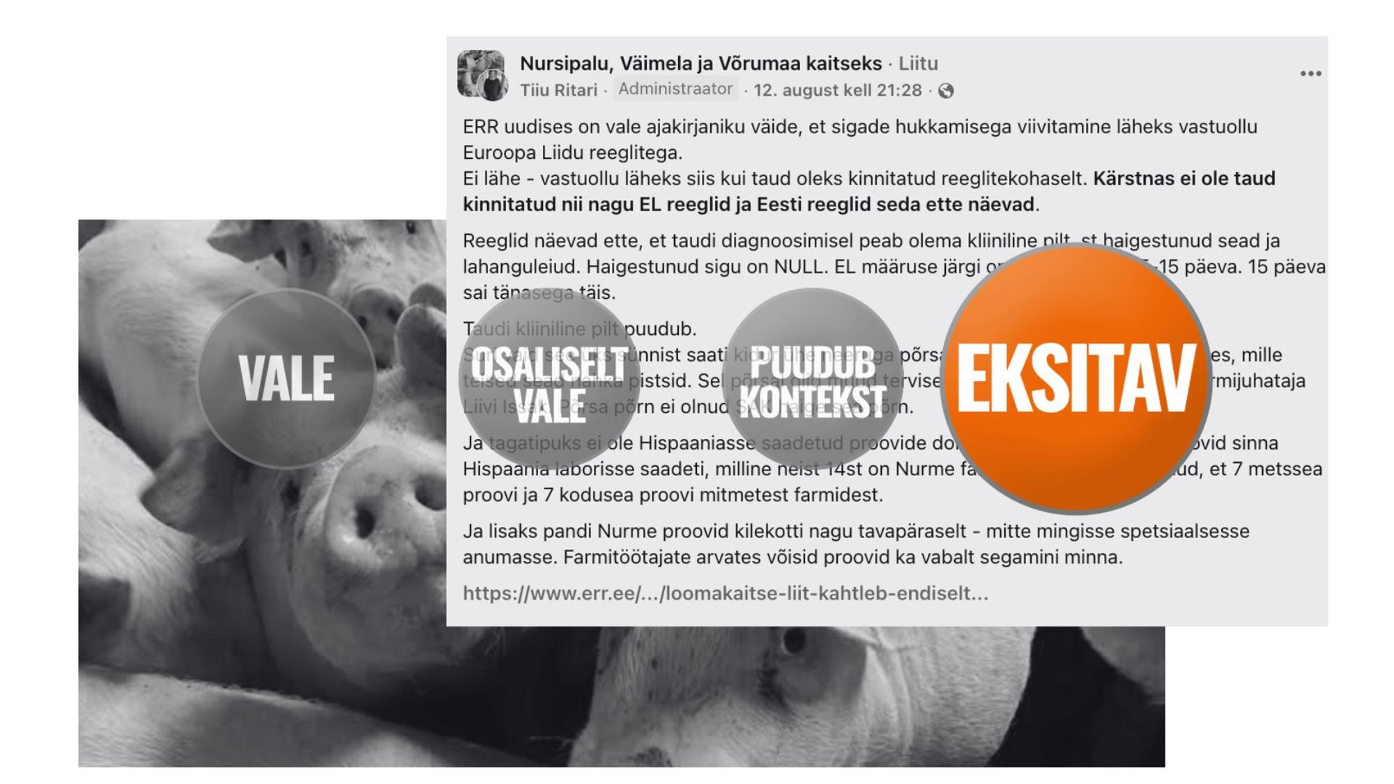 FAKTIKONTROLL | Sotsiaalmeedias levivad eksitavad väited sigade Aafrika katku analüüsitulemuste õigsuse kohta. Selgitame