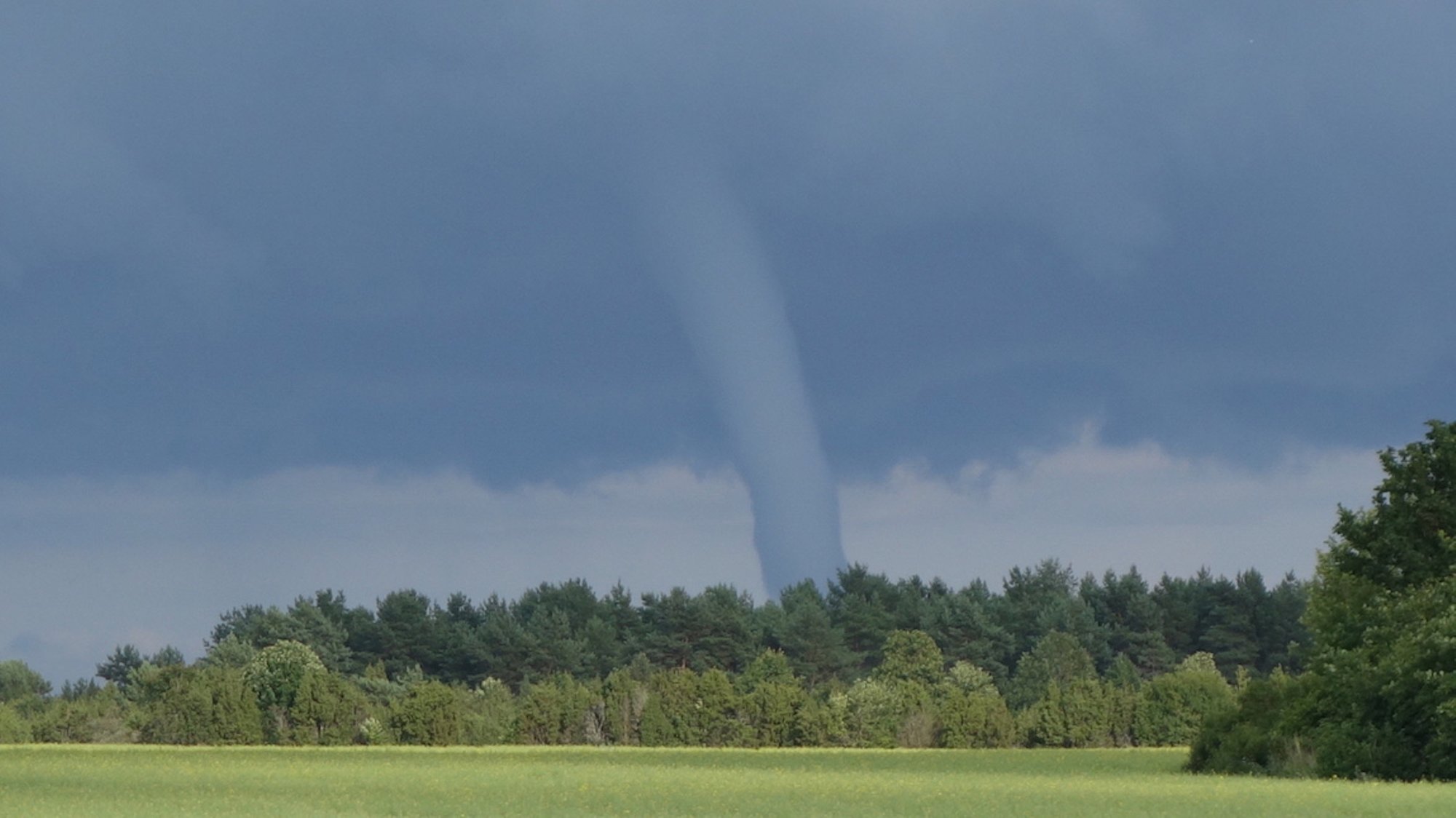 VIDEO | Eestis möllavad võimsad vesipüksid. Kas tegu on ohtliku nähtusega?