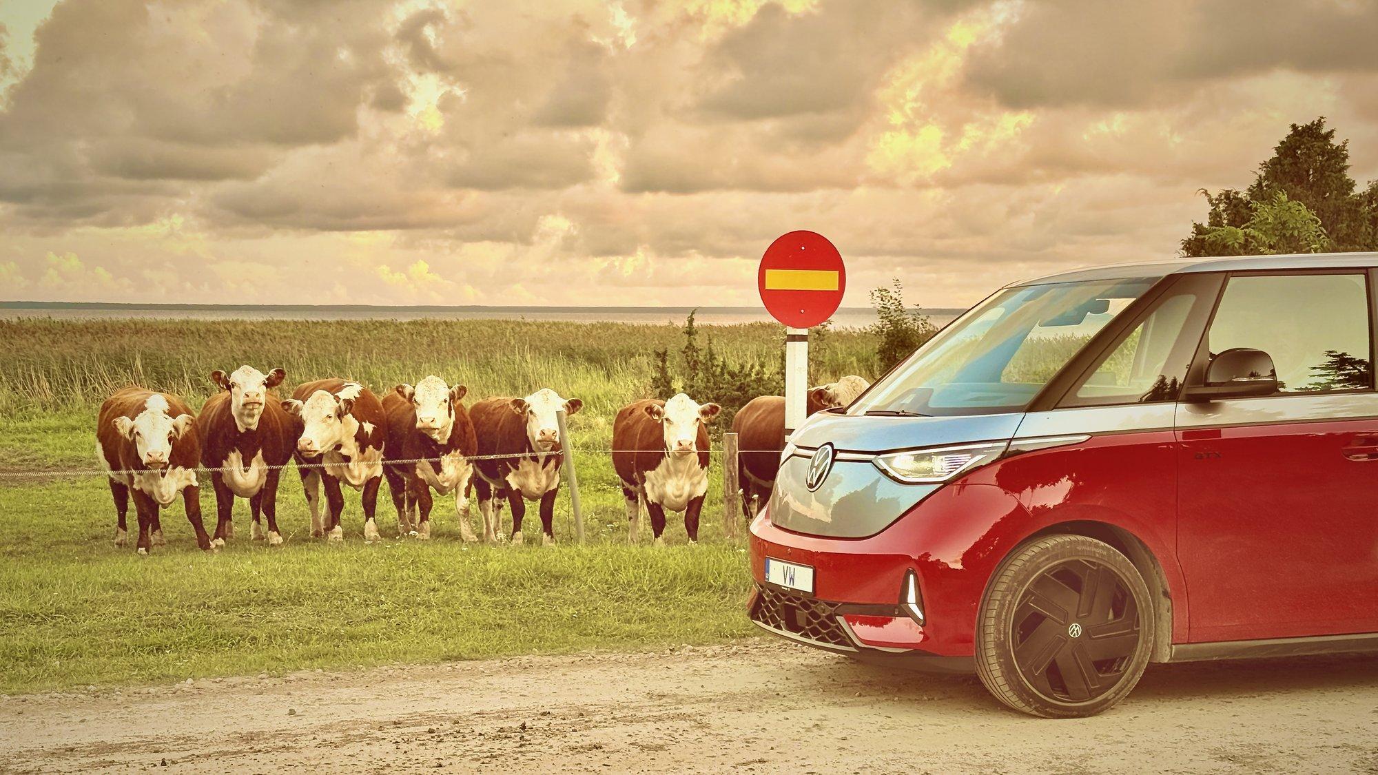 PROOVISÕIT | VW ID. Buzz GTX: pilkupüüdev ja armutult otse ütlev kväär