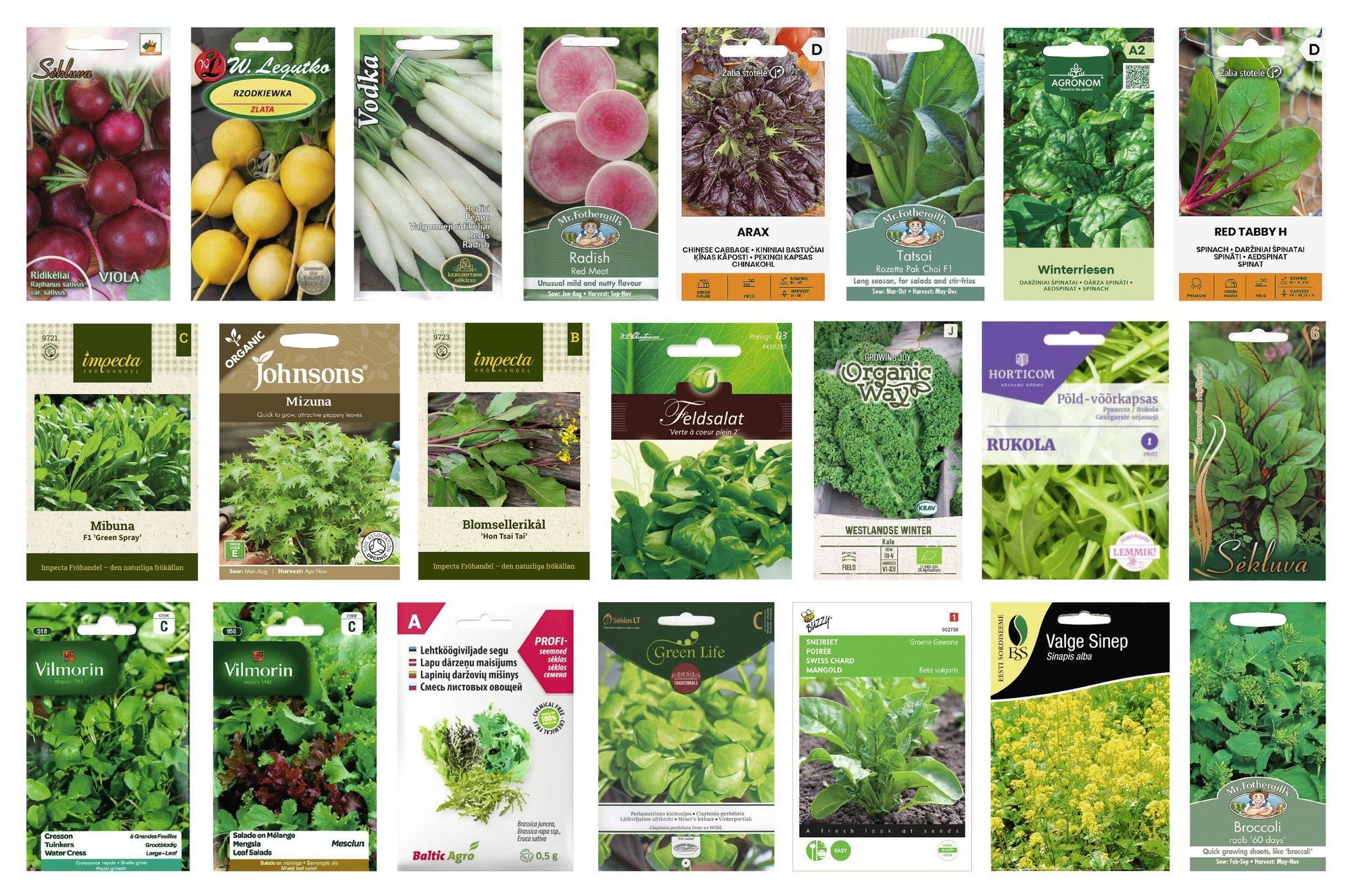 Eva Luigas soovitab augustis külvata kiirekasvulisi köögivilju, et saada samalt peenralt teine saak