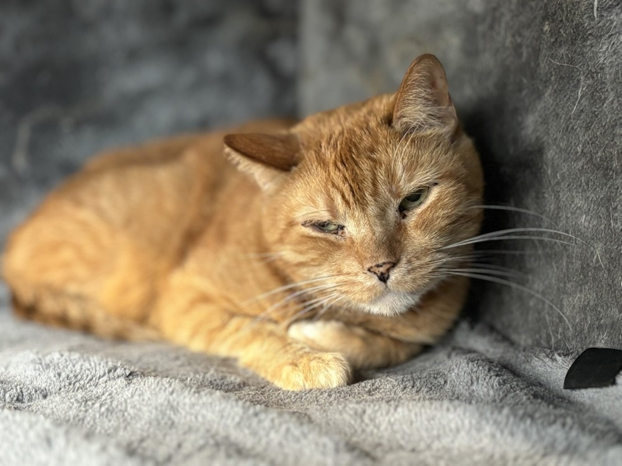 Solveig asutas end pärast pikka ootust koju minema, kuid tervis nurjas ilusa plaani