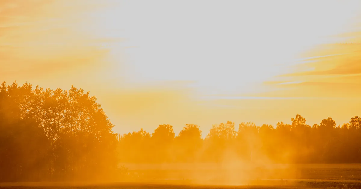 KATRIN PAUTS ⟩ Lõikuskuu ja saladuslik põld