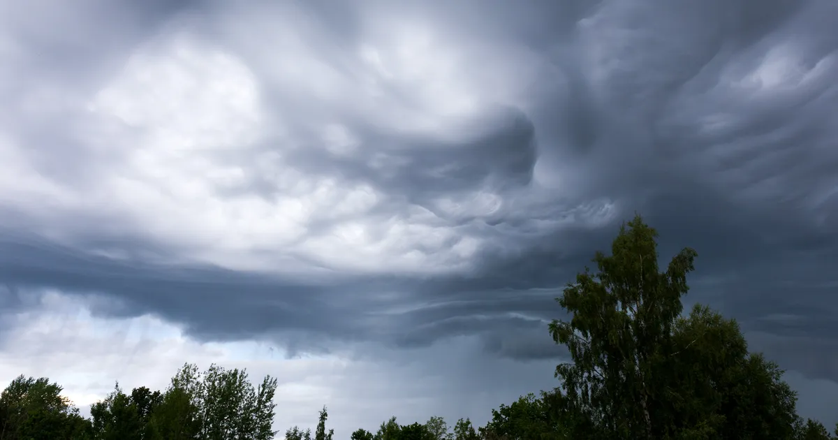 Reedel tuleb kuni 21 kraadi sooja