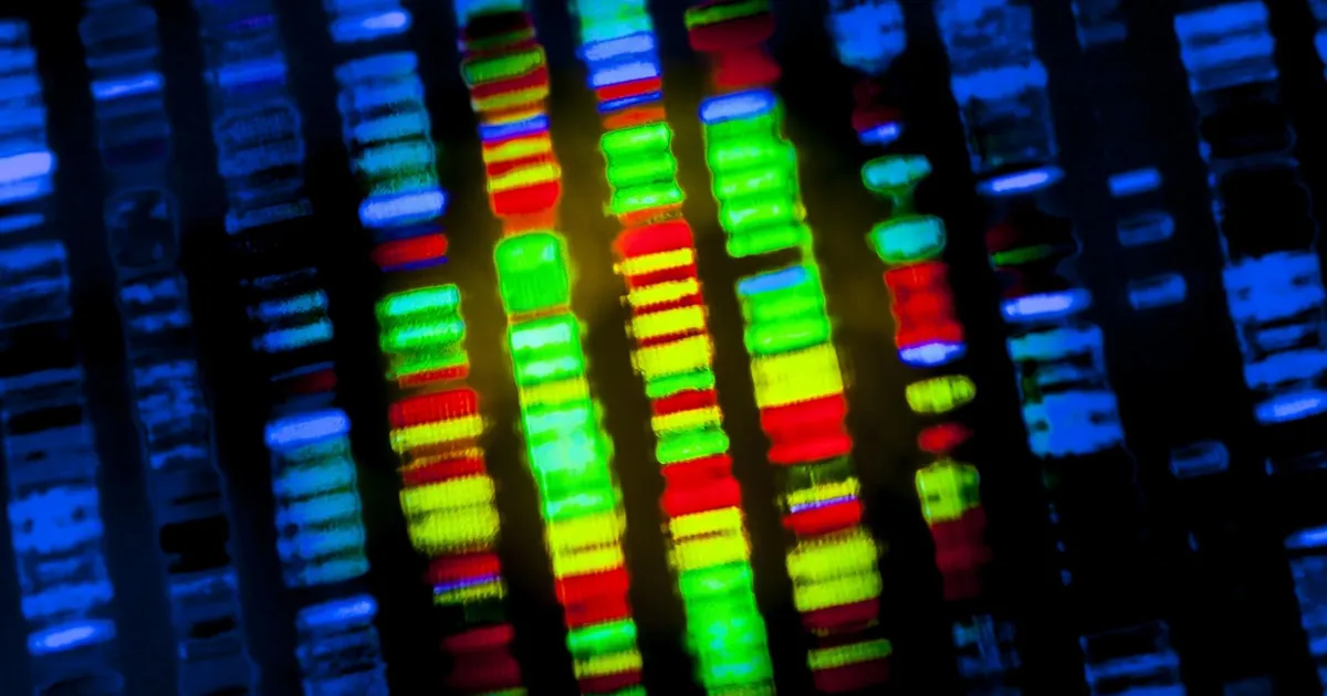 Eksperimentaalne vähivaktsiin näitab hämmastavaid tulemusi