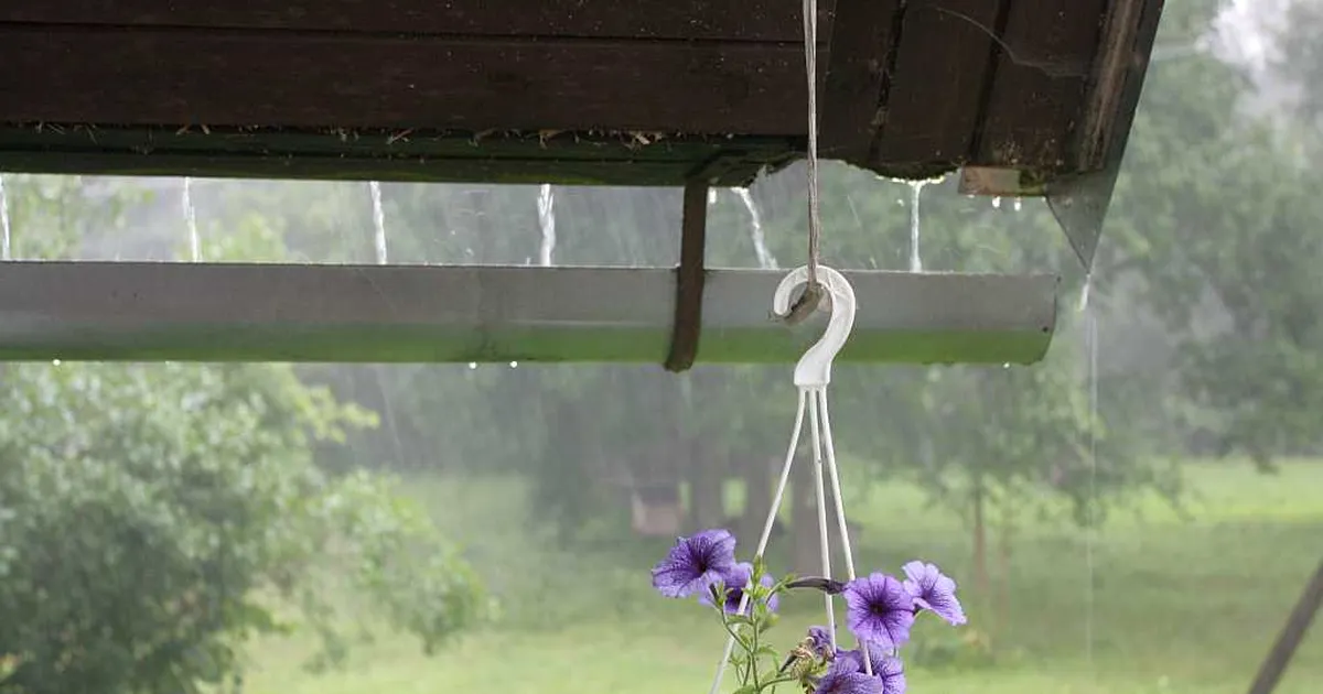 Tuleval nädalal langeb temperatuur, oodata on ka vihma