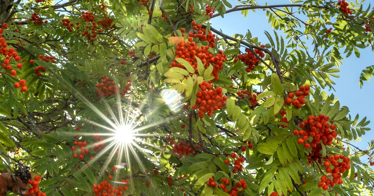 Kooliaasta alguses läheb ilm tasapisi soojemaks