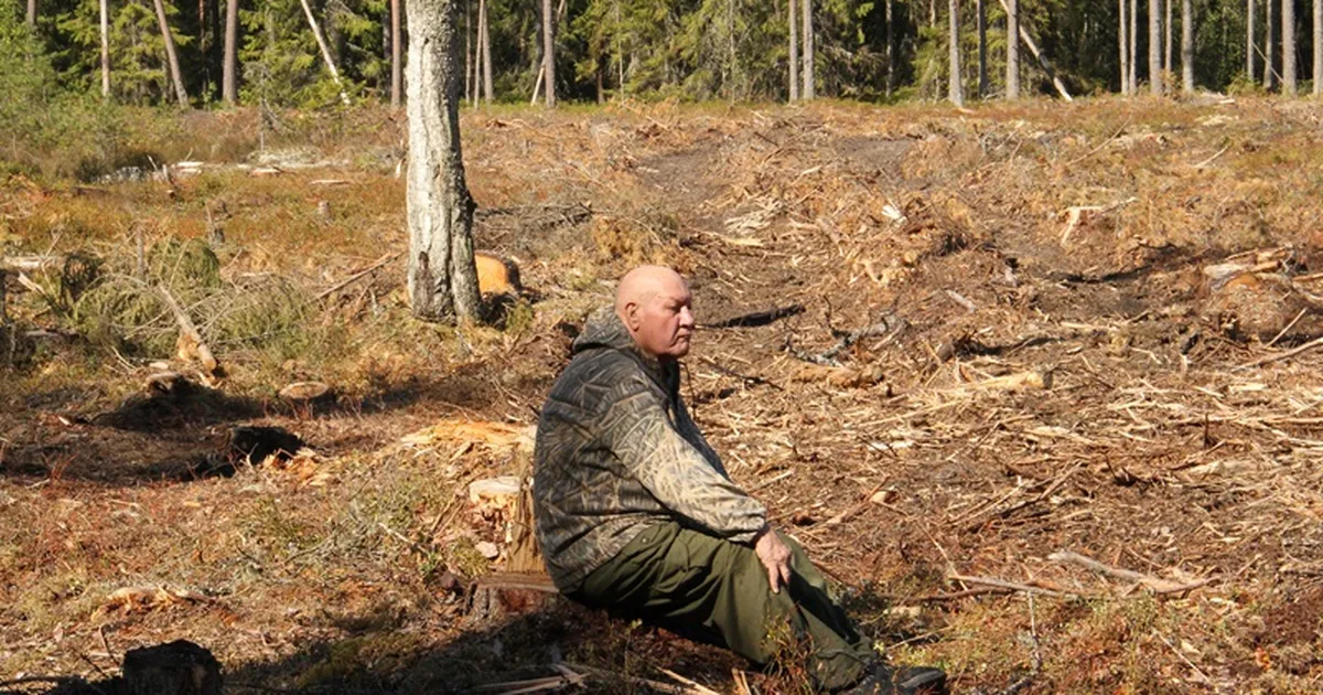 TARMO PIKNER ⟩ Müra tekitamine peab muutuma tasuliseks