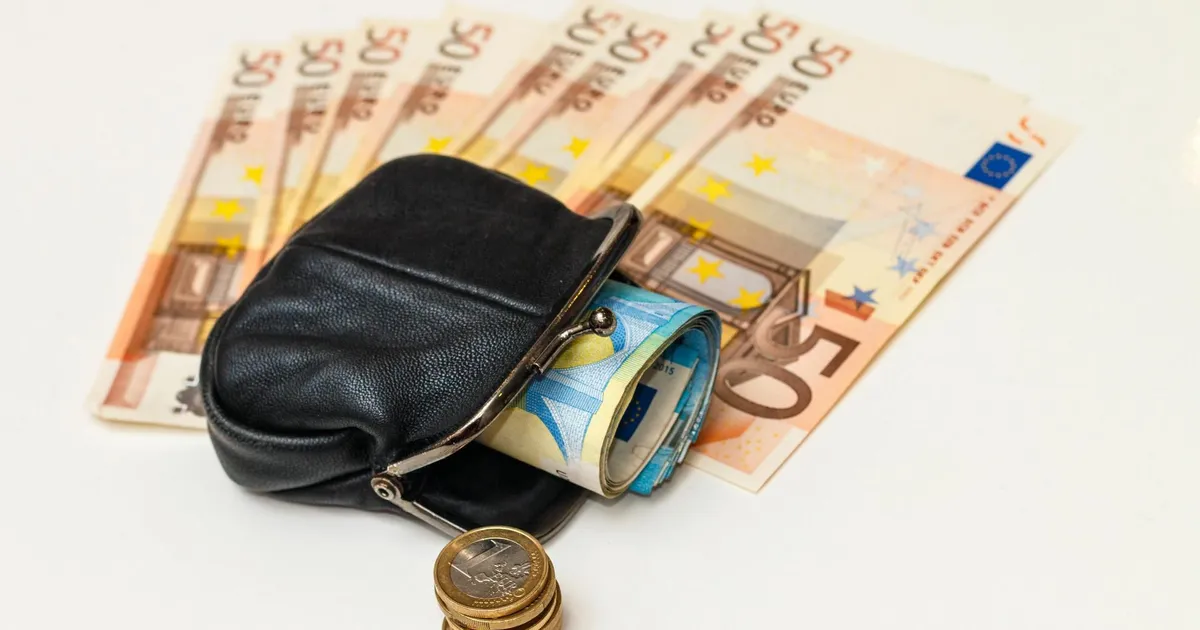 Loe, mida on uuel aastal Euroopas palkadest oodata