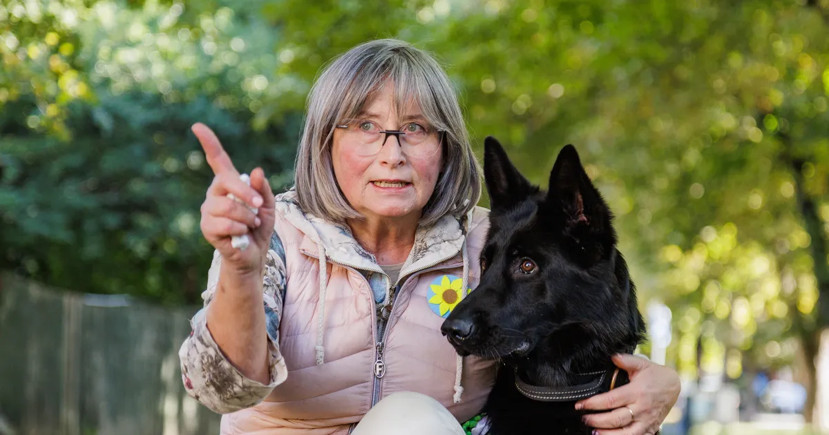 Loomaarst Tiina Toomet eakaid lemmikuid kimbutavast haigusest: see tuleb paljudele loomaomanikele endiselt täieliku üllatusena