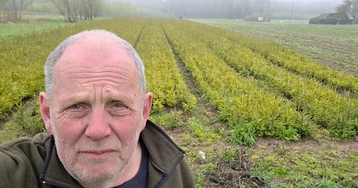 Riigikogu liikme Peeter Ernitsa seakatku postitus ei jätnud kedagi külmaks: kes on järgmised - veised, lambad, inimesed?