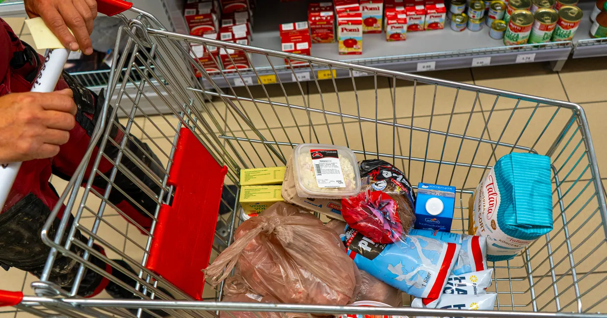 Konjunktuuriinstituut: tarbijad koguvad vaikselt julgust