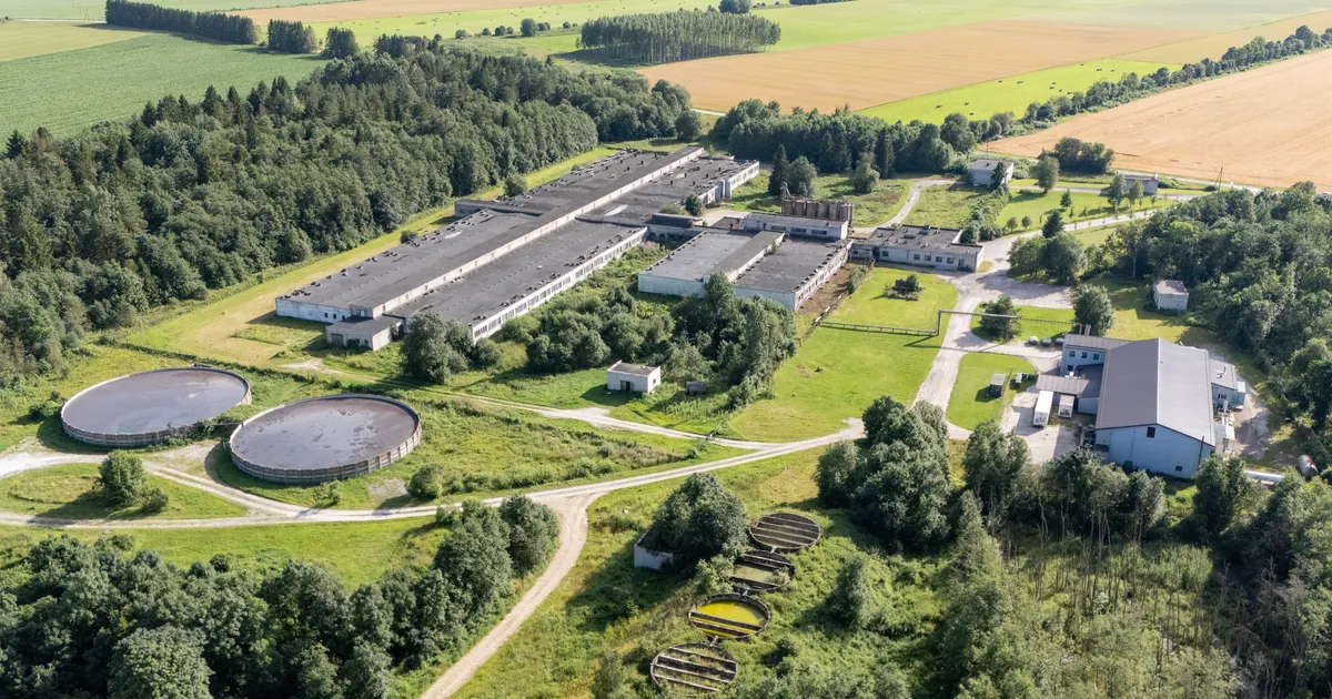 Töötukassa andmetel koondavad ettevõtted sel sügisel vähemalt 176 töötajat