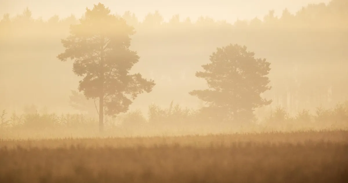 Pool Eestit on saanud uduhoiatuse