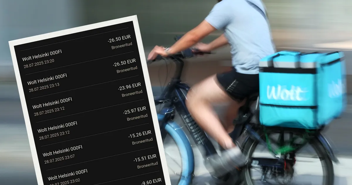 EI TOITU EGA RAHA! ⟩ Wolti rakenduse kasutaja sattus küberpättide küüsi
