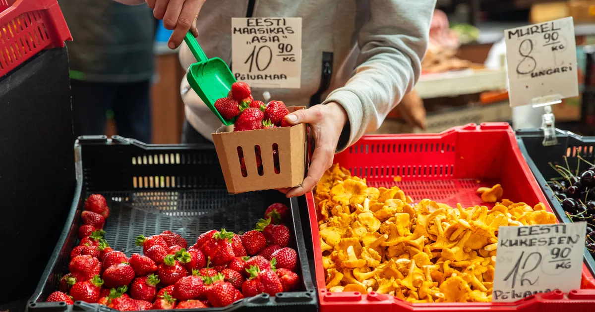 RAIMOND PIHLAP ⟩ Nii lämmatatakse Eesti maaelu...