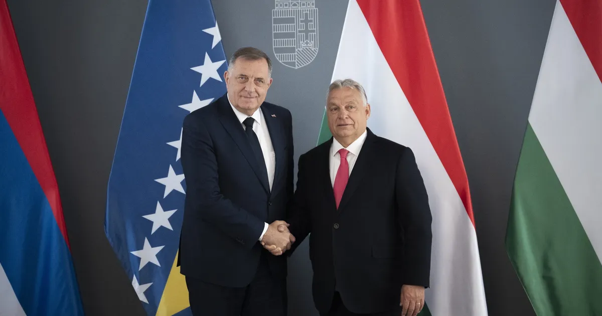 Bosnia apellatsioonikohus jättis Dodiki vanglakaristuse jõusse