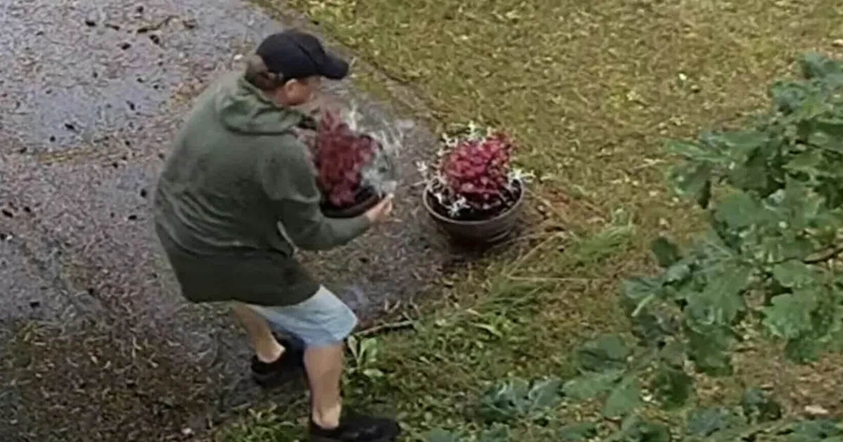 FOTOD ⟩ Harkujärve lasteaia peaukse eest kadus lillepott: auto jõudis osta, aga lilli mitte