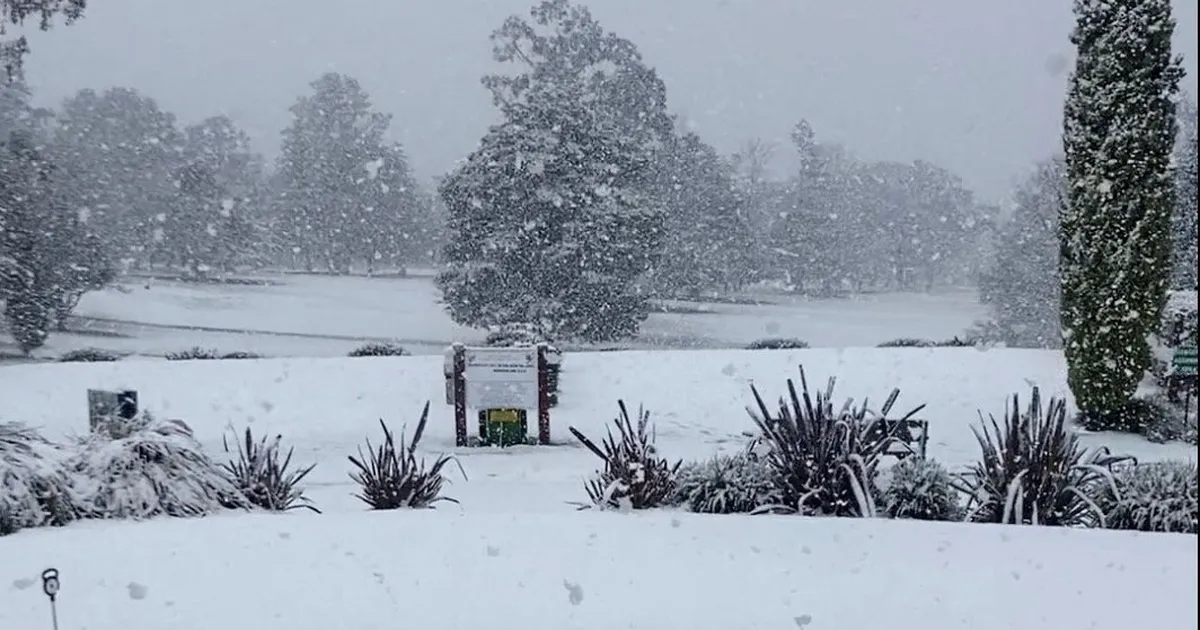 VIDEO ⟩ Austraalia kaguosas sadas maha 40 sentimeetrit lund