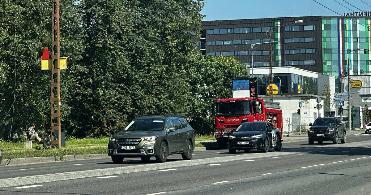 FOTOD ⟩ Tallinnas kukkus tiheda liiklusega teele suur puu