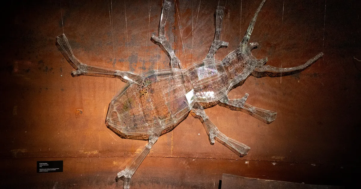 Klaasi piire murdes: Ivo Lille pärand pani Viinistu tünni särama