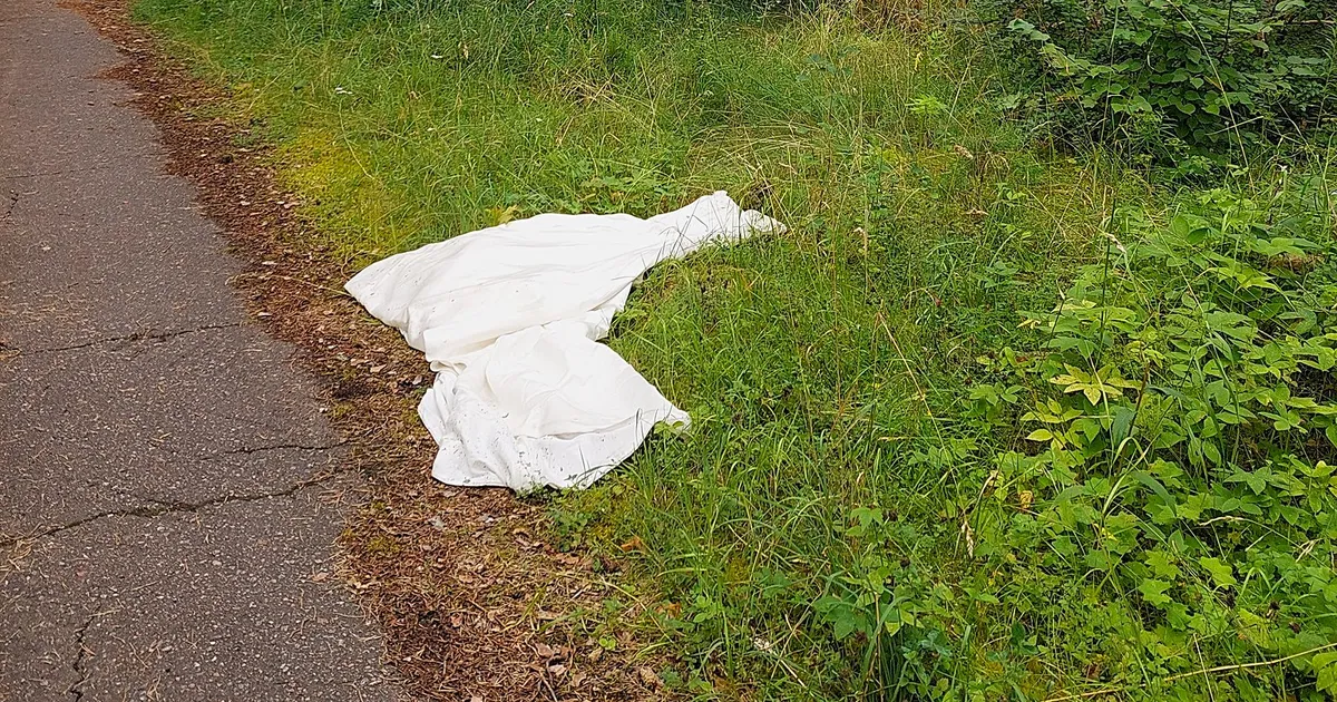 FOTOD ⟩ Jalutuskäiku teinud naine leidis metsatukast pulmakleidi. «Pruut muutus konnaks tagasi?»