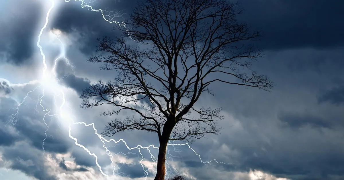 Igal aastal jätab välgutabamuse tõttu elu üle 300 miljoni suure olendi