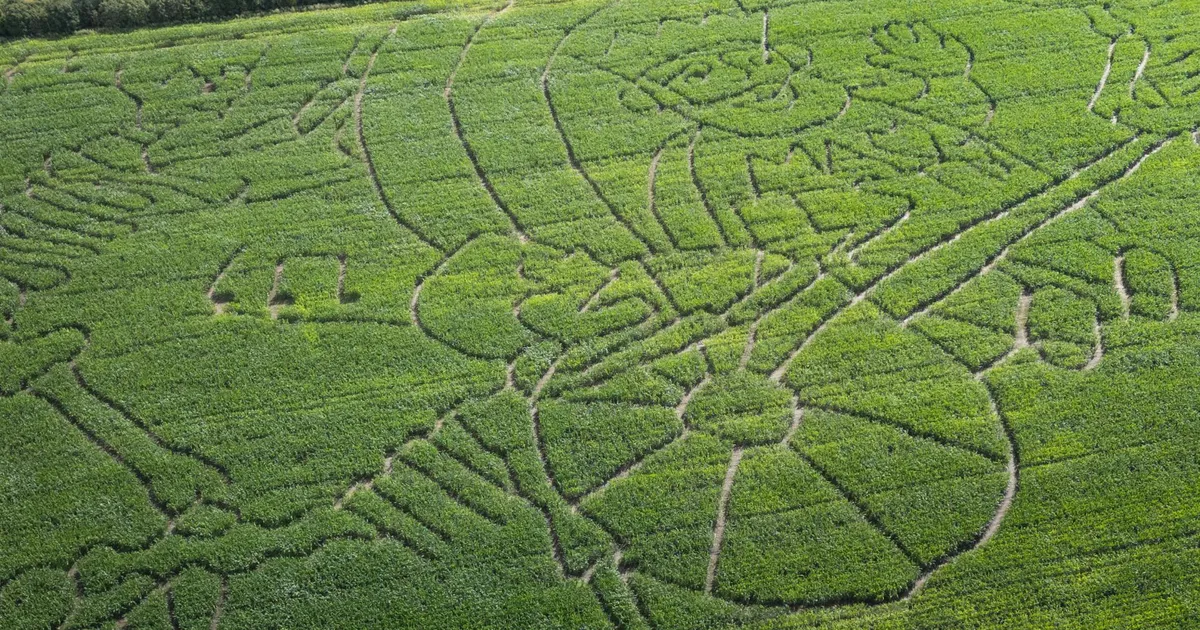 Maisipõllult paistab sedapuhku «Riik ja rahvas»