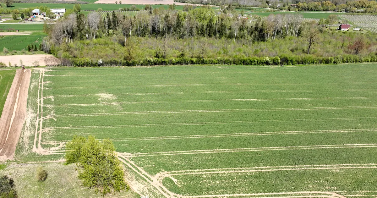 Läti kuulutas välja eriolukorra põllumajanduses