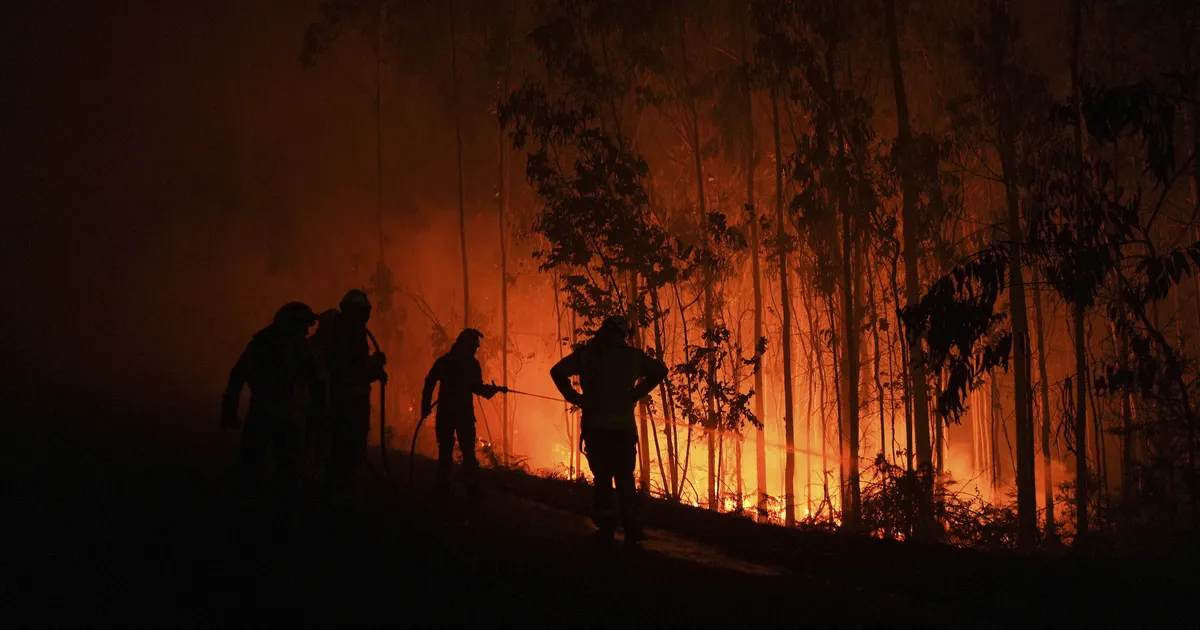 Laastavad metsapõlengud Hispaanias ja Prantsusmaal sunnivad turiste ja kohalikke piirkondadest lahkuma