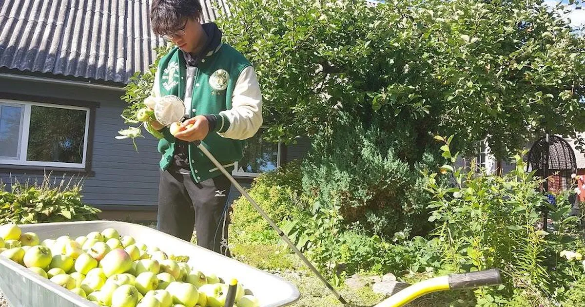 45 miljonit eurot, mis jääb Lõuna-Eestisse: kuidas seda summat suurendada?