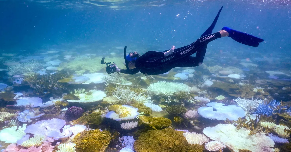 SAMM HÄVINGU SUUNAS ⟩ Suure Vallrahu pleekimine saavutas mullu rekordilise ulatuse