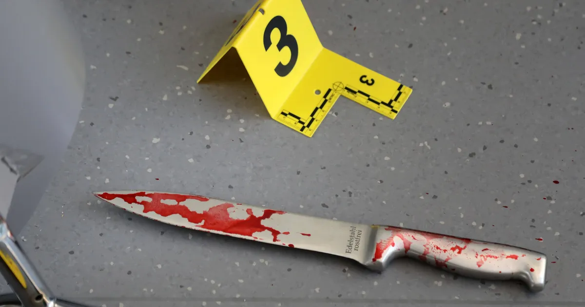 MÜSTEERIUM LAHENDATUD ⟩ Alaealine pani toime võika veretöö ja läks rahuliku südamega kooli – kohus ei halastanud