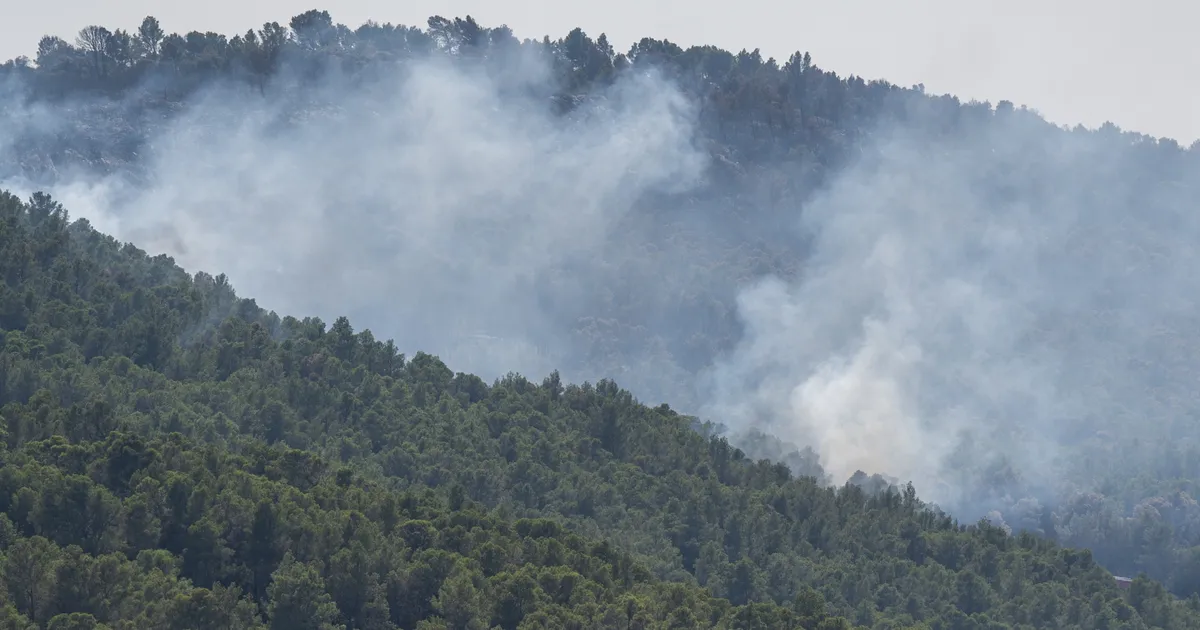 Prantsusmaa lõunaosas möllav metsatulekahju saadi kontrolli alla