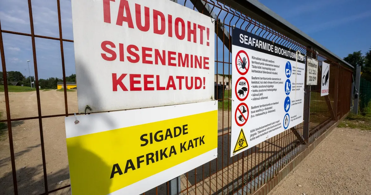 Kärstna sead hukatakse juba homme varahommikul. «Kui inimesed protsessi segavad, lubati nad K-komandoga laiali ajada!»