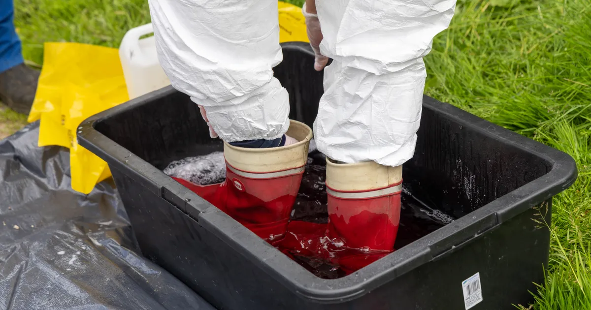 Labris: laborile ei ole avaldatud rahalist ega ärilist survet