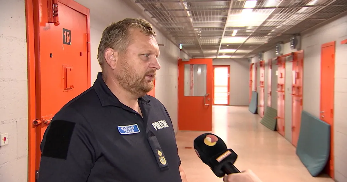 PIINLIKUD REKORDID ⟩ Tallinna kainestusmajja on sel aastal jõudnud oluliselt rohkem «kliente»