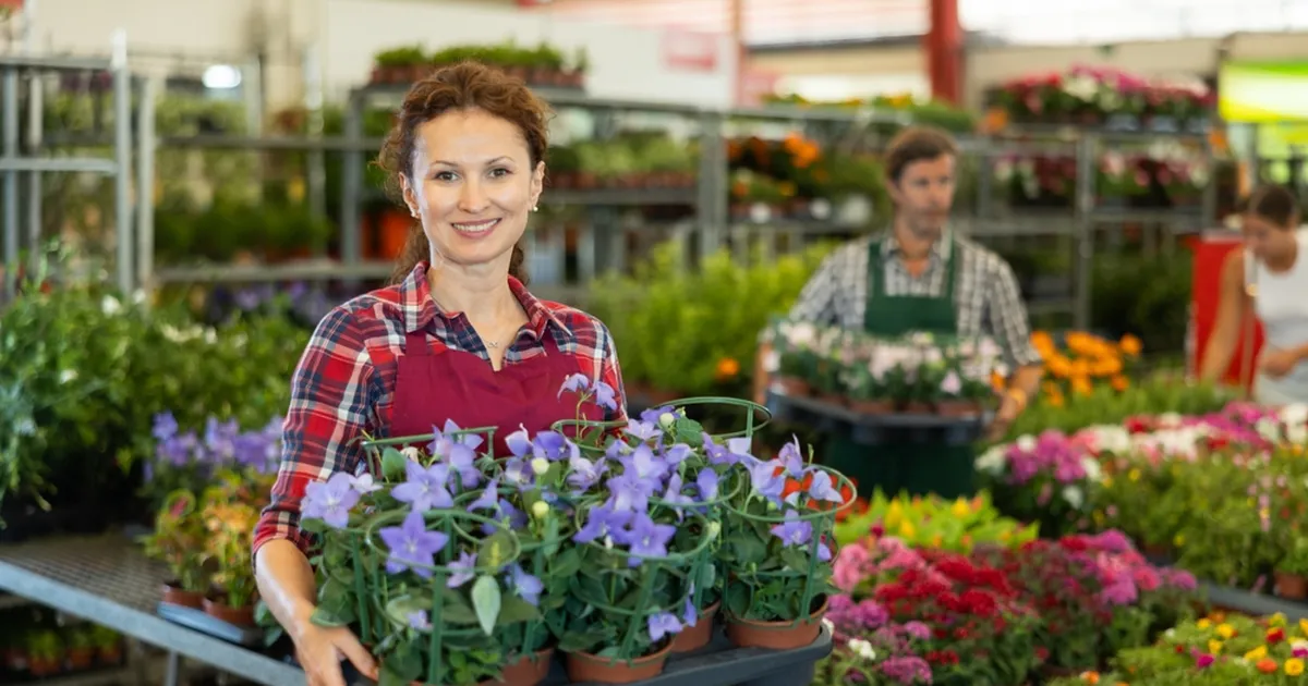 IMETLE VÕI OSTA KAASA ⟩ Tallinna Botaanikaaias esitletakse elulõngu ja Eestis kasvatatud viinamarju