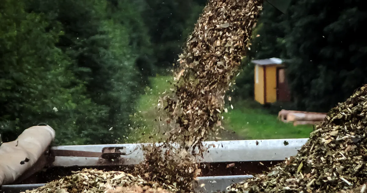 «Eestlane saab midagi tasuta, ikka suudab vinguda!» Rail Balticu liiklussõlme ehitusel üle jäänud hakkepuit ootab omanikke