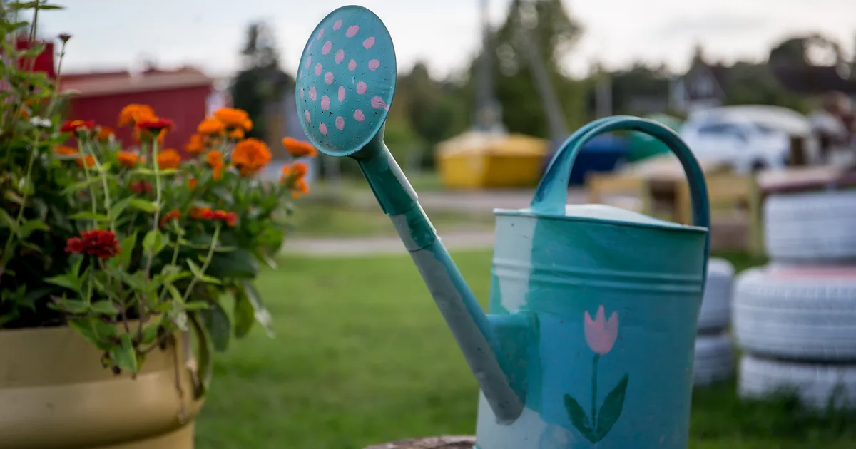 15 SENTI KAHJU ⟩ Saksa politsei algatas uurimise naabri kogutud vihmavett varastanud naise suhtes