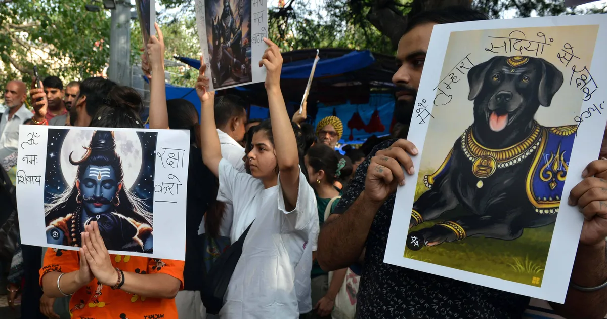 India tahab varjupaikadesse saata kuni miljon hulkuvat koera