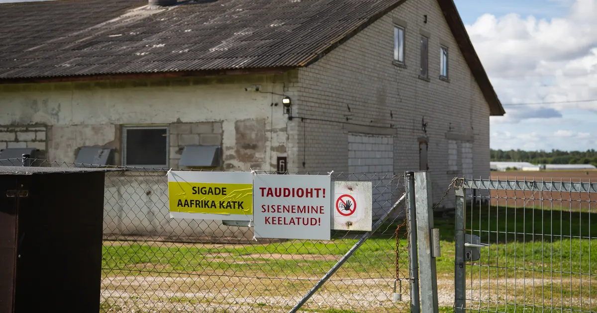 FOTOD ⟩ Katkuteate saanud Tartumaa sigala ümbruses valitseb vaikus