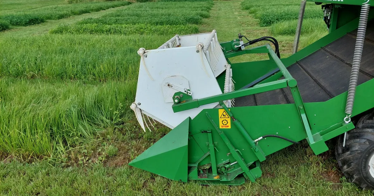 Laialeheline valge ristik, otsekülv ja söödamais toovad muutuse söödatootmisse