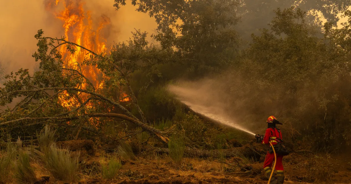 Euroopas sagenevad kuumalained
