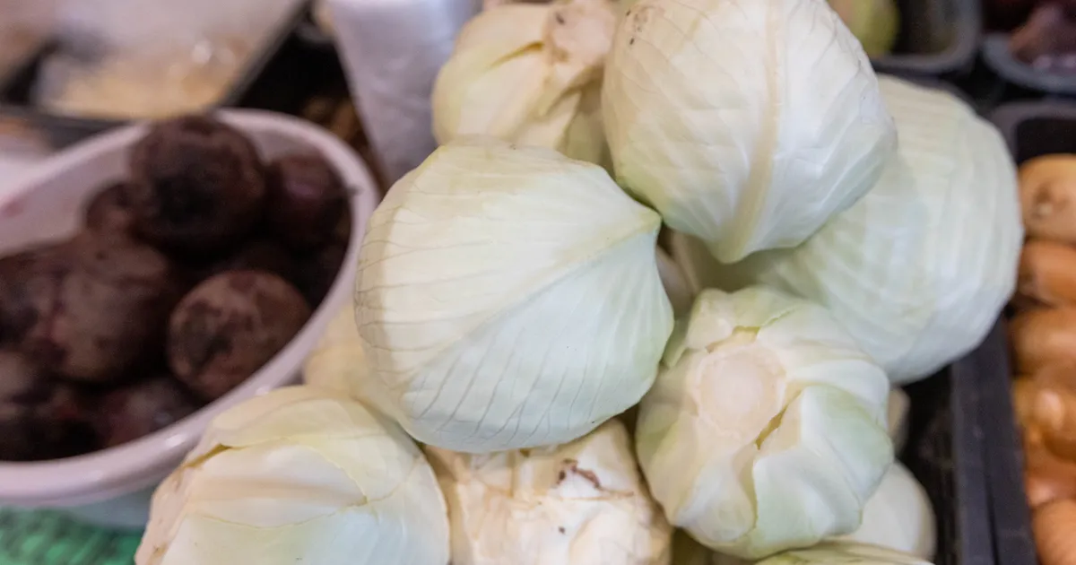 „See oli õuduste unenägu!”